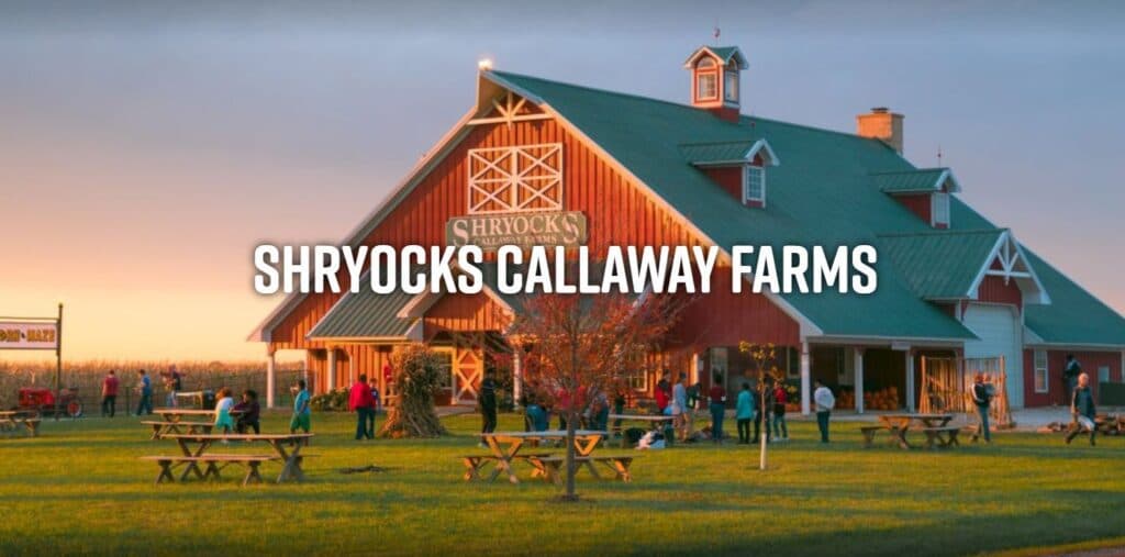 A red barn with "Shryocks Callaway Farms" sign, surrounded by people and picnic tables at sunset.