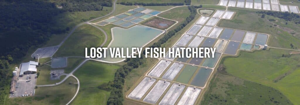 Aerial view of Lost Valley Fish Hatchery with multiple fish ponds and surrounding greenery.