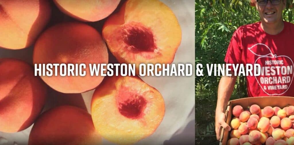 Sliced peaches and a person holding a box of peaches from Historic Weston Orchard & Vineyard.