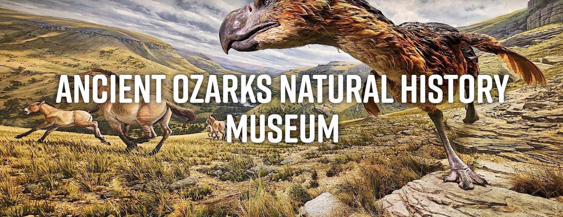 An illustration of prehistoric creatures in a natural landscape, with the text "Ancient Ozarks Natural History Museum" prominently displayed.