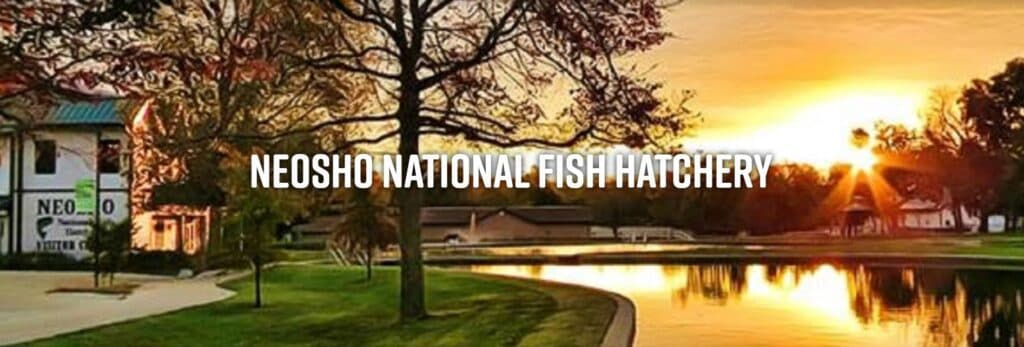 Sunset over the Neosho National Fish Hatchery, reflecting on a calm pond, framed by trees.