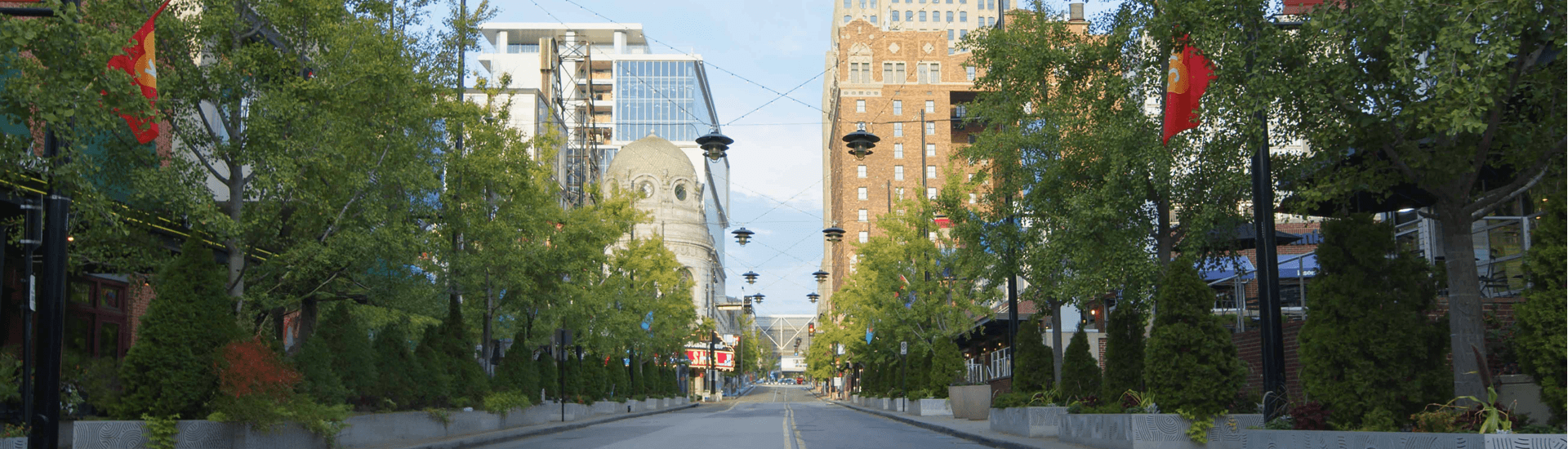 A wide street lined with trees and buildings, featuring decorative streetlights and flags.
