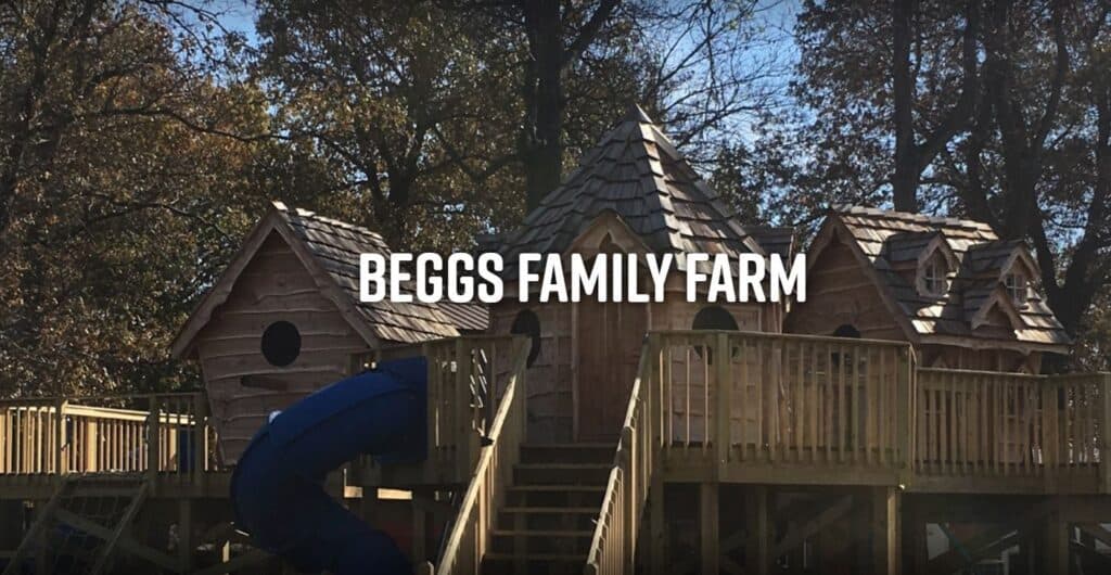 A wooden play structure resembling a farmhouse with a slide at Beggs Family Farm.