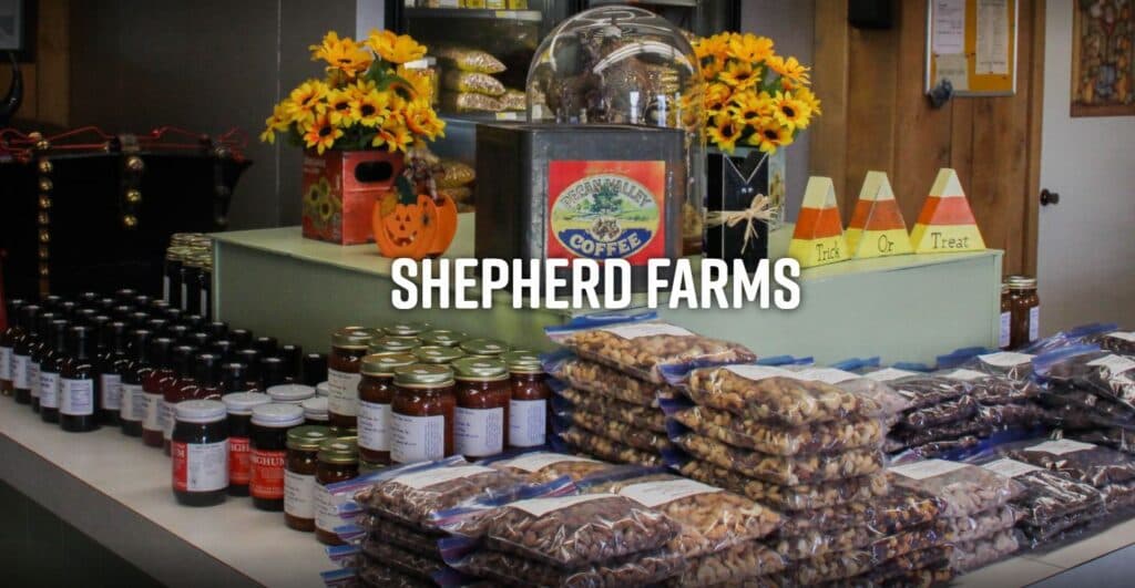 A display of assorted jars, bags of snacks, and seasonal decorations at Shepherd Farms.