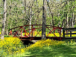 Red Bridge in Spring