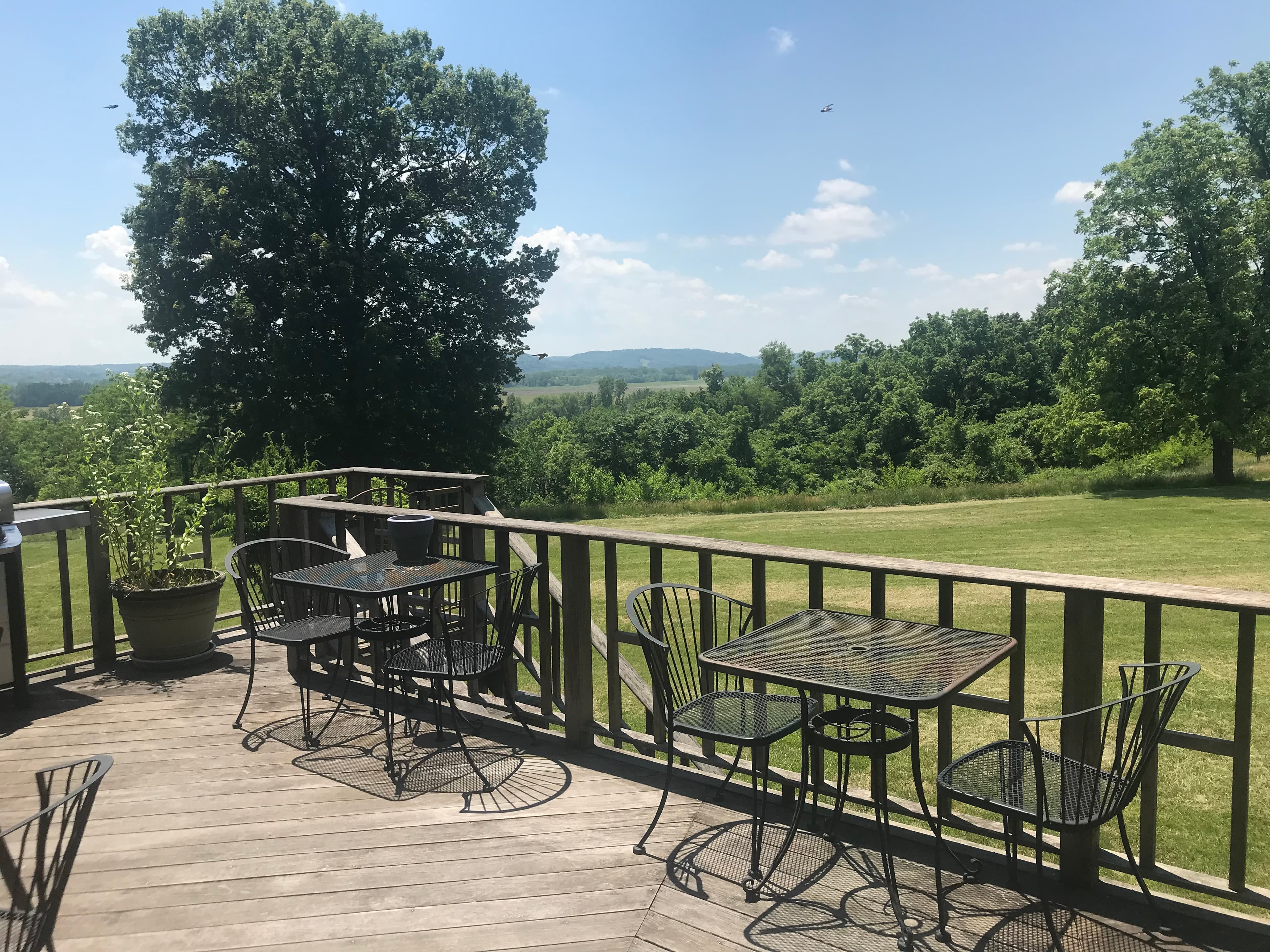 Jett Manor - Backyard View